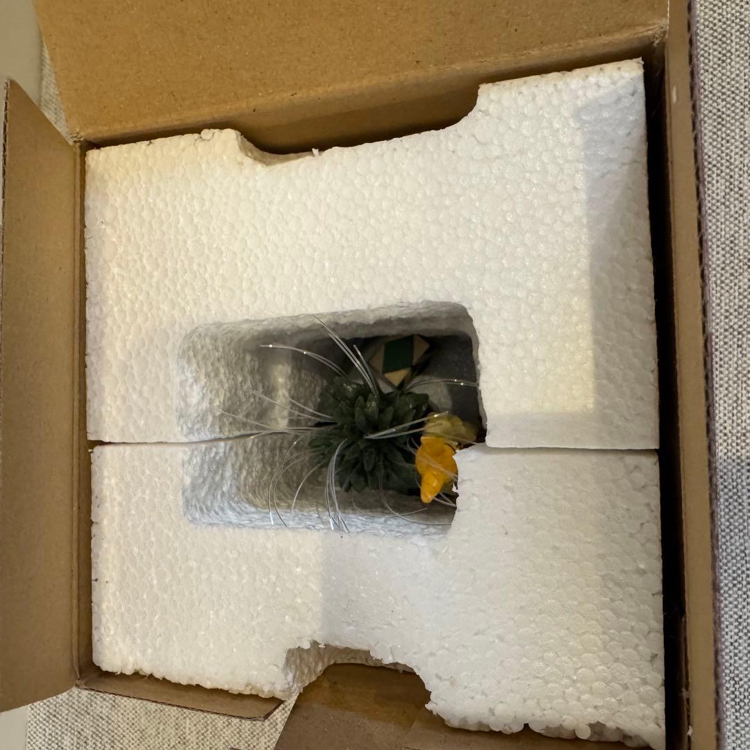 耳をすませば　猫の恩返し　バロン　リアルファンタジー　ライト　箱付き