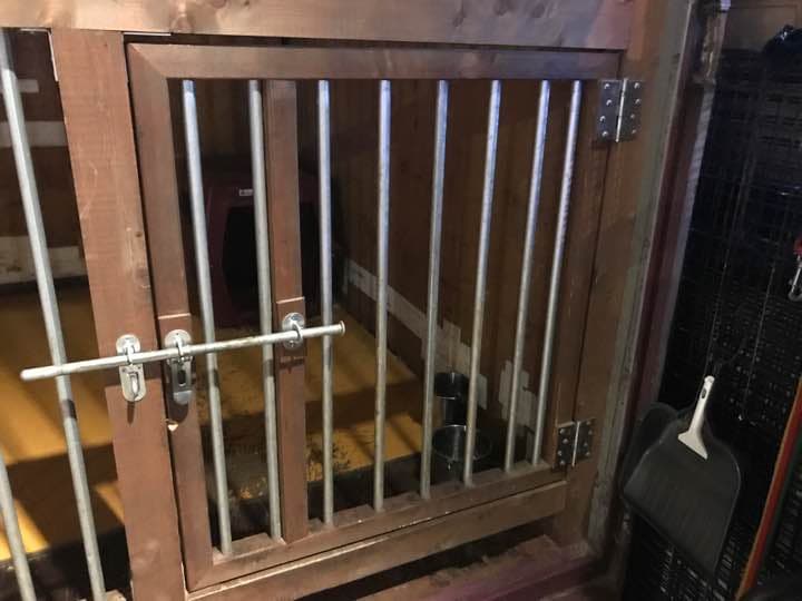 巨大 犬小屋