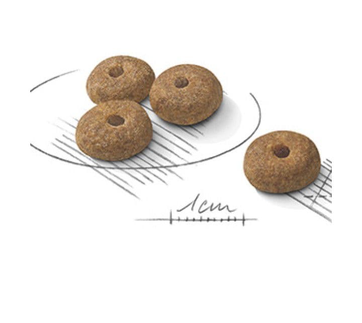  CANIN ミニステアライズド 避妊去勢犬用 8kg