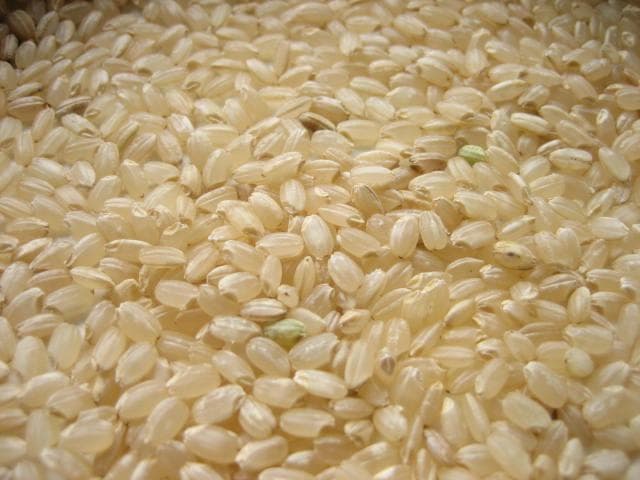 令和６年　新米　玄米を精米して白米で送ります　つきあかり　10kg　/　訳あり