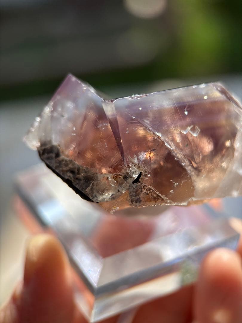 その他 sherry twins pocket