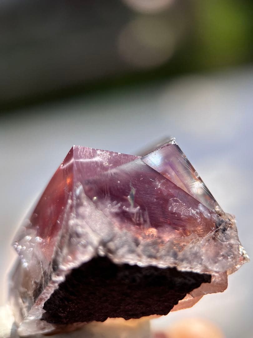 その他 sherry twins pocket