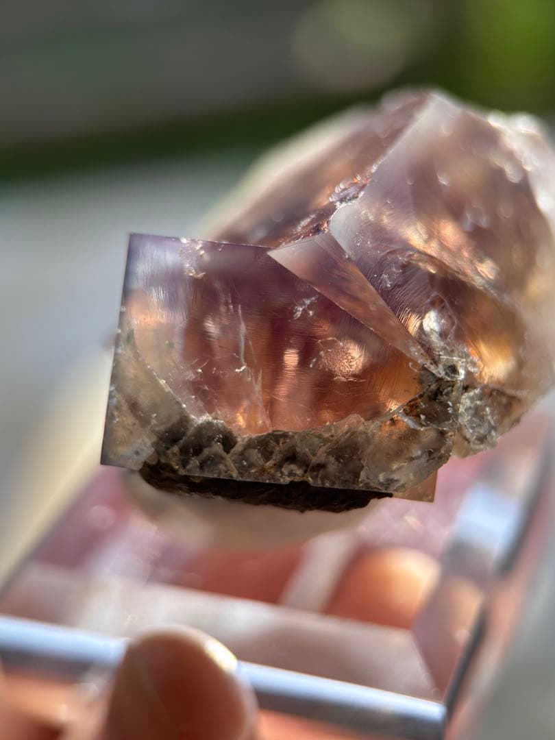 その他 sherry twins pocket