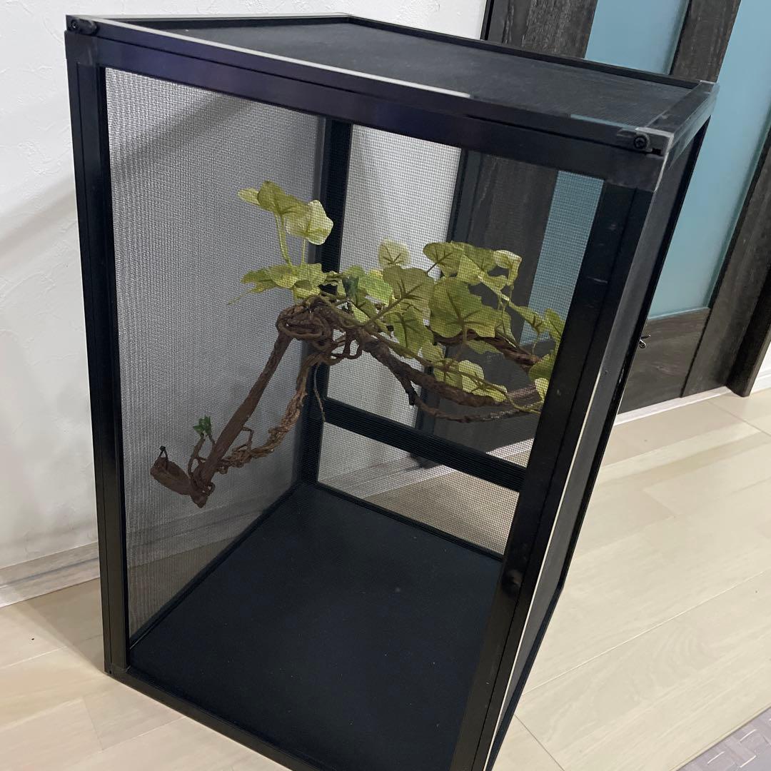 飼育ケージ　ケージ　42×42×66 爬虫類　カメレオン　メッシュ　レイアウト