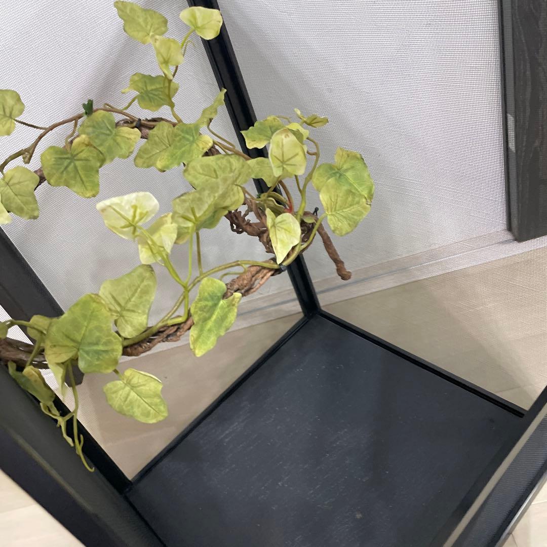 飼育ケージ　ケージ　42×42×66 爬虫類　カメレオン　メッシュ　レイアウト