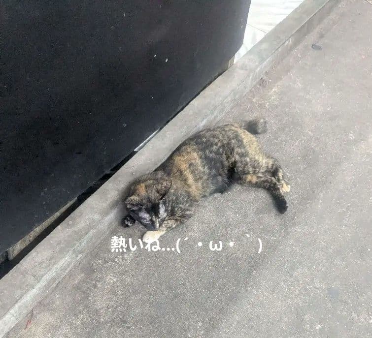 【マダム】復活ッ！タイのお守りプラクルアンッ！レアで高価なマダムVer!!