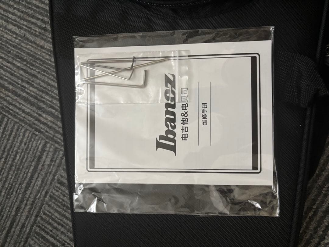 Ibanez ICHI10 ヘッドレスギター Qシリーズ 25年9月新品購入