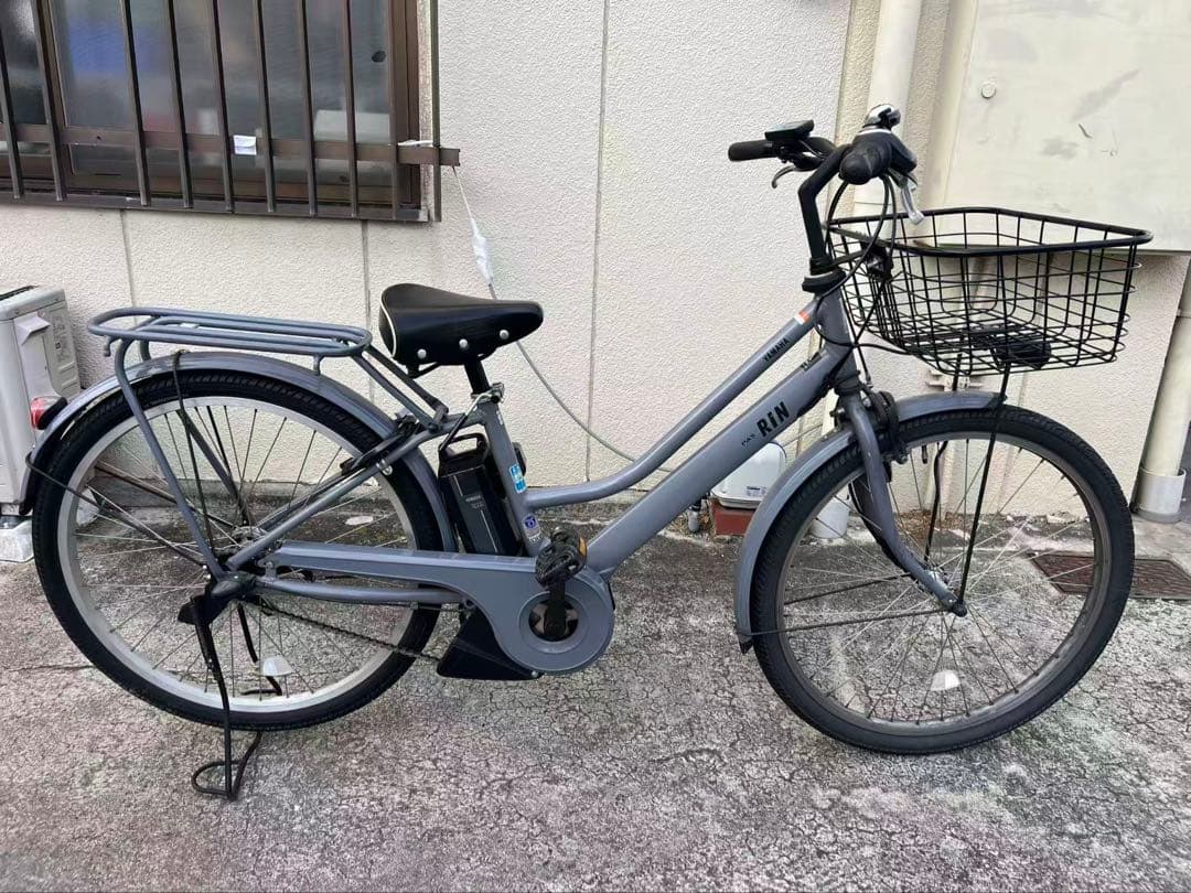 500 ⭐︎Lucy⭐︎さん専用