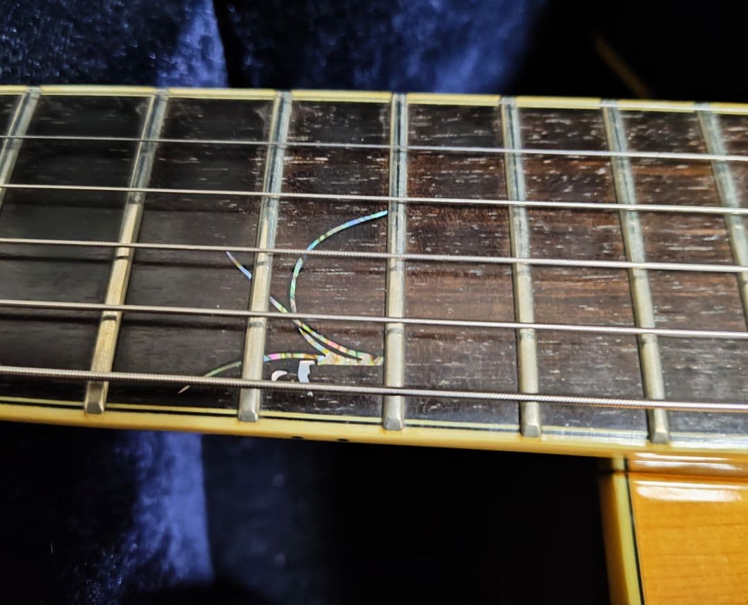 こーとく Peerless Martin Taylor Maestro