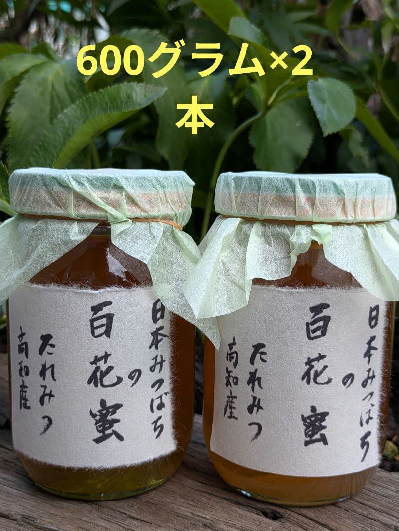 日本ミツバチ 蜂蜜 令和7年 採れたて 600g×2本 たれ蜜 非加熱　百花蜜
