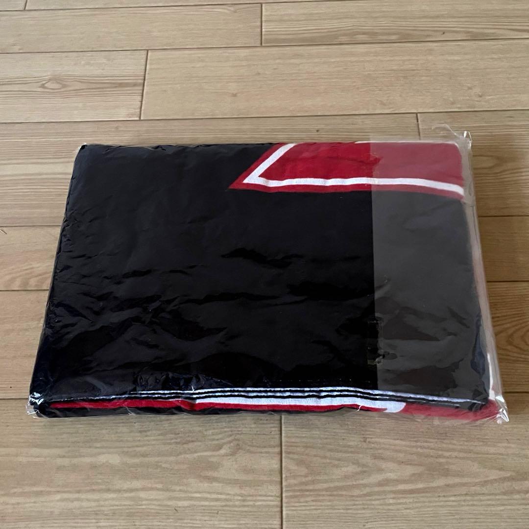 矢沢永吉/ 05s'当時物スペシャルビーチタオル( ロゴ蓄光)