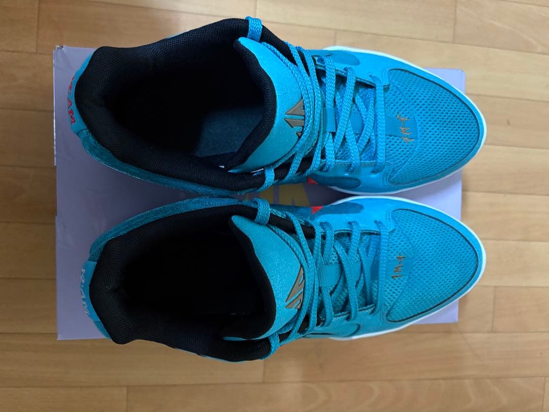 ナイキ ジャ2 バッシュ 30cm