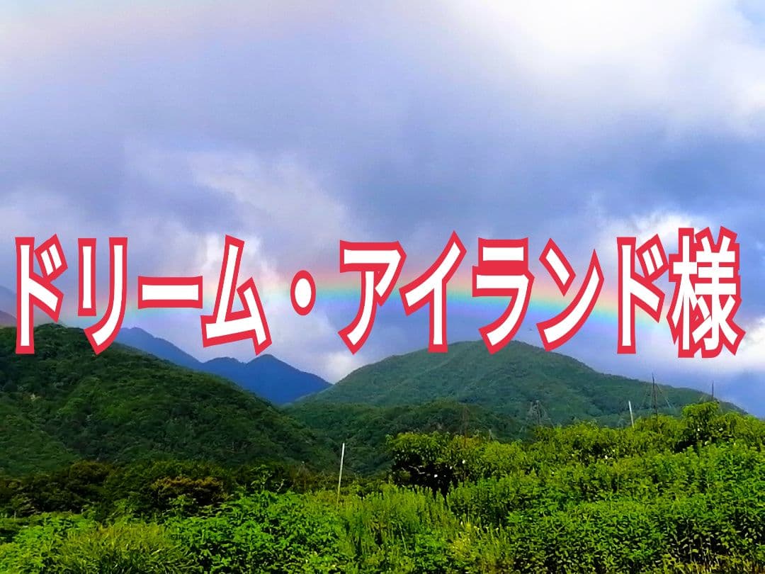 ドリーム・アイランド様　御注文のお品物