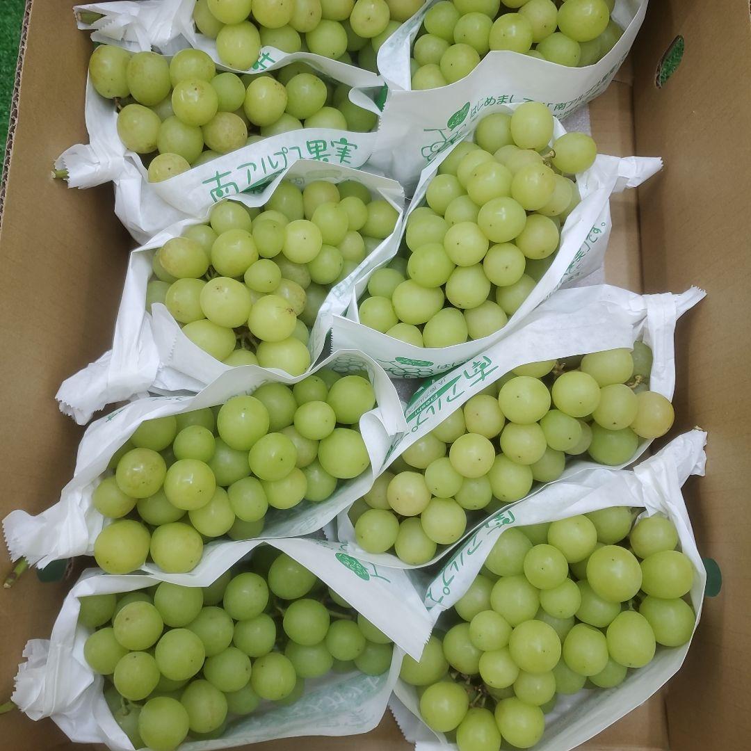 7️⃣ 山梨県産 シャインマスカット ９房入り 箱込み5.5キロ