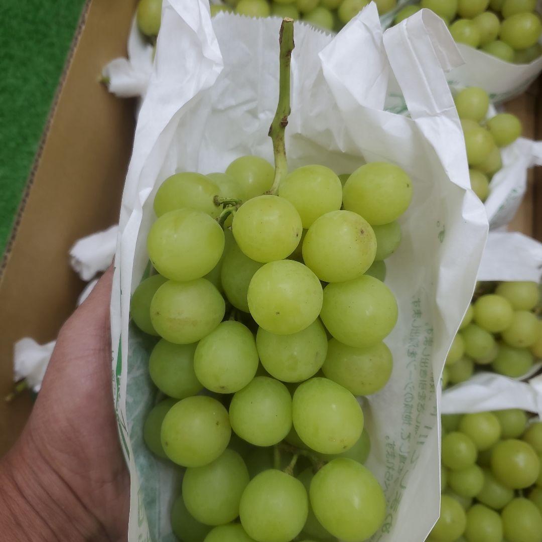 7️⃣ 山梨県産 シャインマスカット ９房入り 箱込み5.5キロ