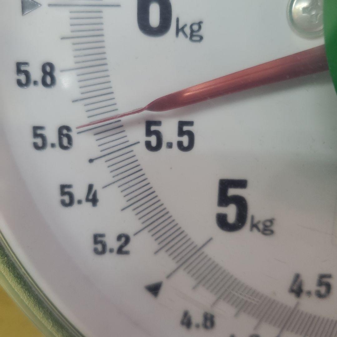 7️⃣ 山梨県産 シャインマスカット ９房入り 箱込み5.5キロ