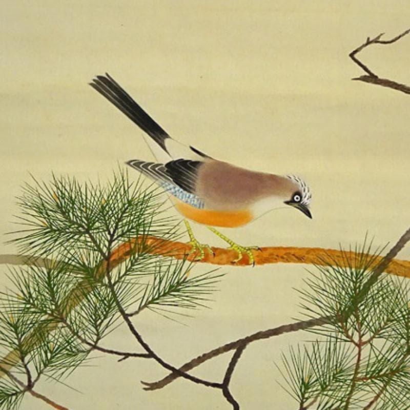 掛軸 長三郎『松に小禽図』絹本 肉筆 無地箱付 掛軸 a020715