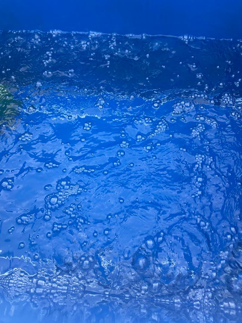 水産試験場活魚飼育水槽、錦鯉、メダカ、金魚の、飼育水槽中古