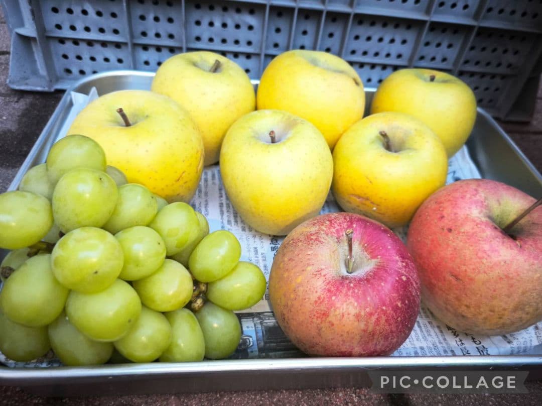 ご購入相談窓口