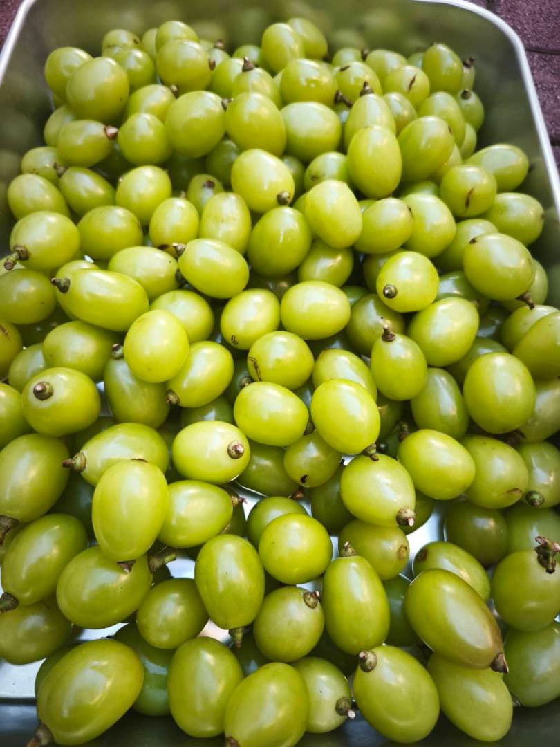 ご購入相談窓口