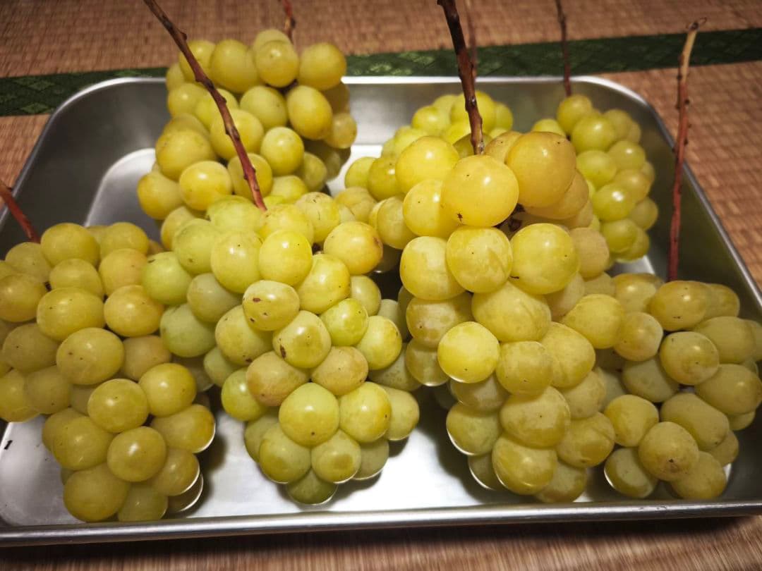 ご購入相談窓口