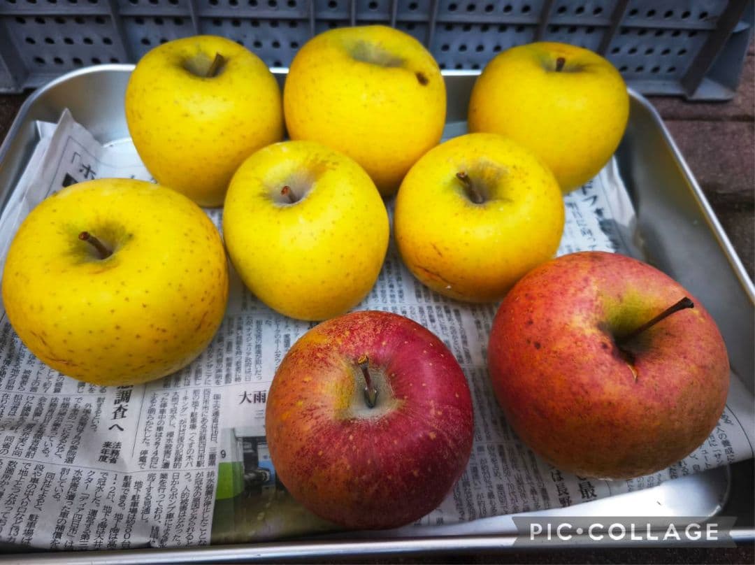 ご購入相談窓口