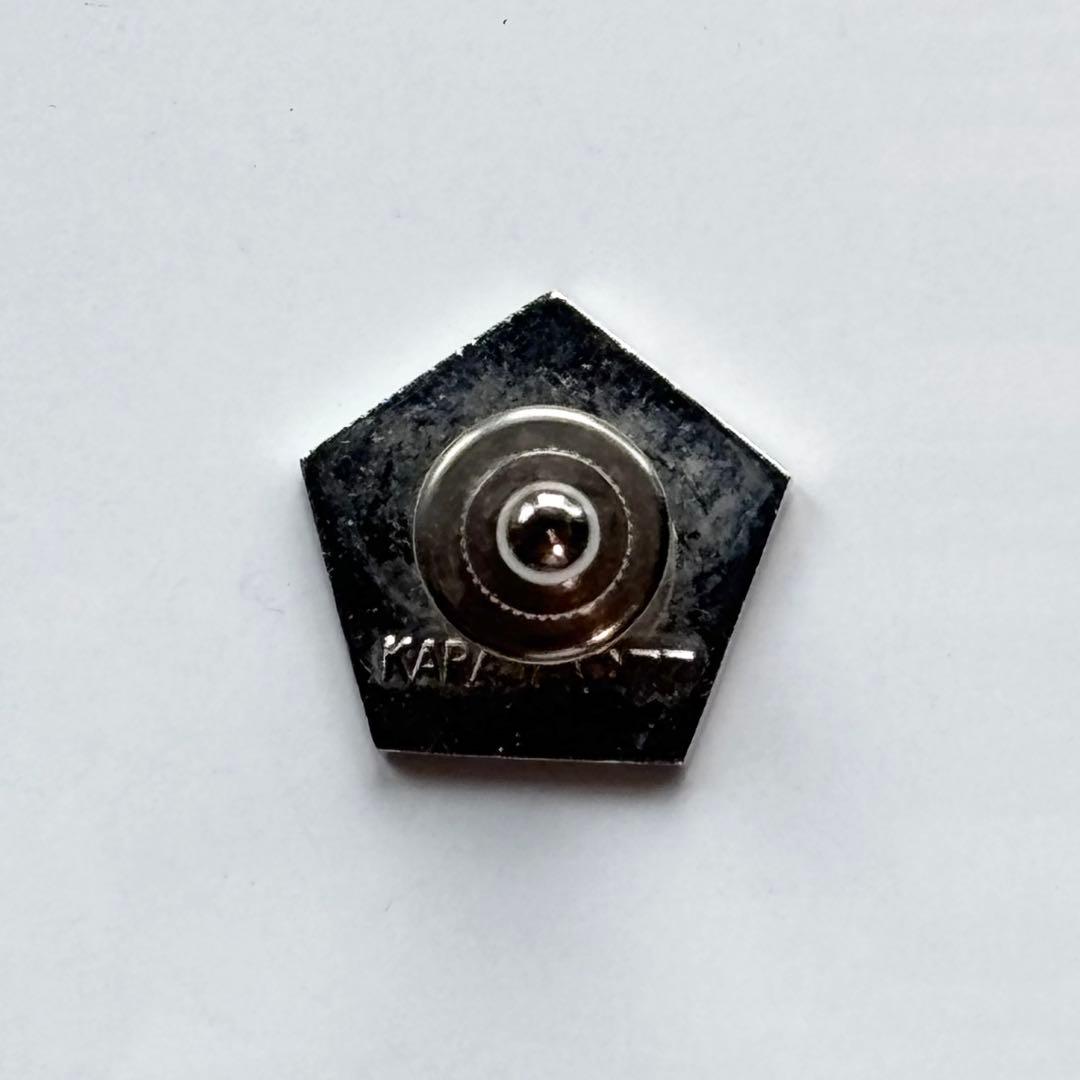 カラヤン　ベートーヴェン交響曲全集　発売記念　ピンバッジ　1977年　2個セット