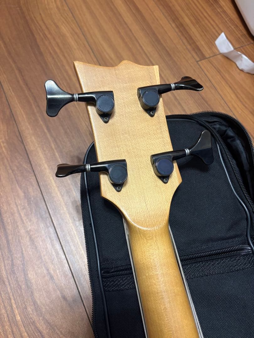 ぬ*こ様 【現状品】esp Egoist MA-250BE 【ジャンク】