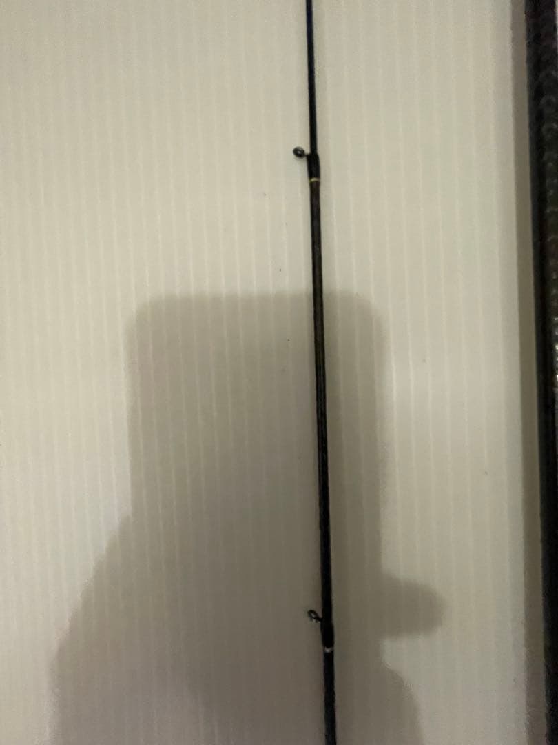 レガーメ　毘沙　アジング