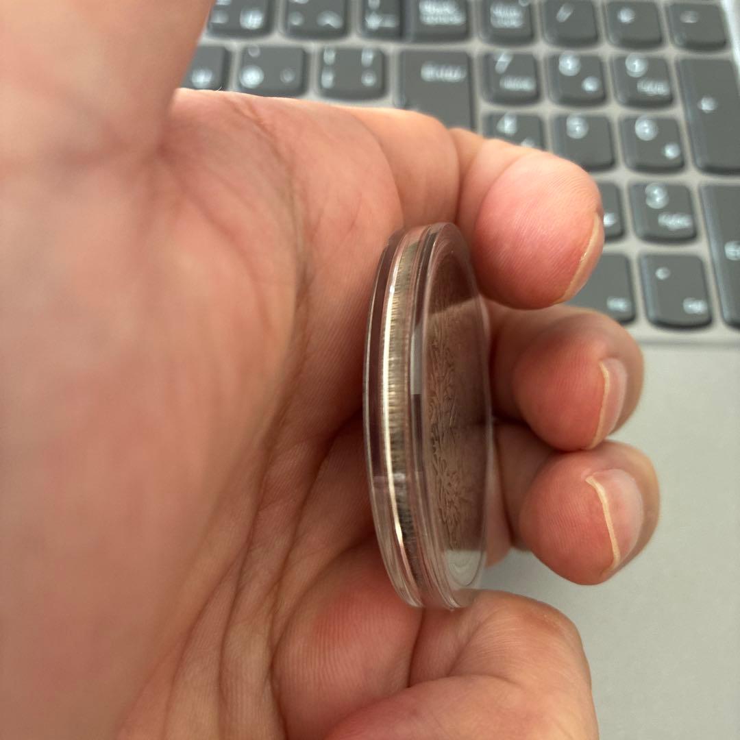 中華民国 中国古銭 中華民国 十年造 壹圓 袁世凯旧貨幣 直径39mm 磁性なし