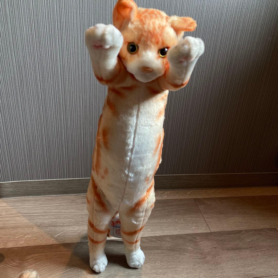 たっちい　Zoo にゃんこ ぬいぐるみ まとめ売り 自立する猫　ぬいぐるみ
