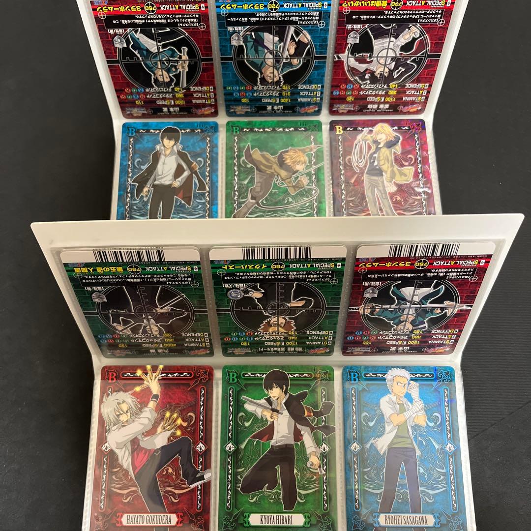 家庭教師ヒットマンREBORN　サザンクロスバトル　カード　まとめ売り