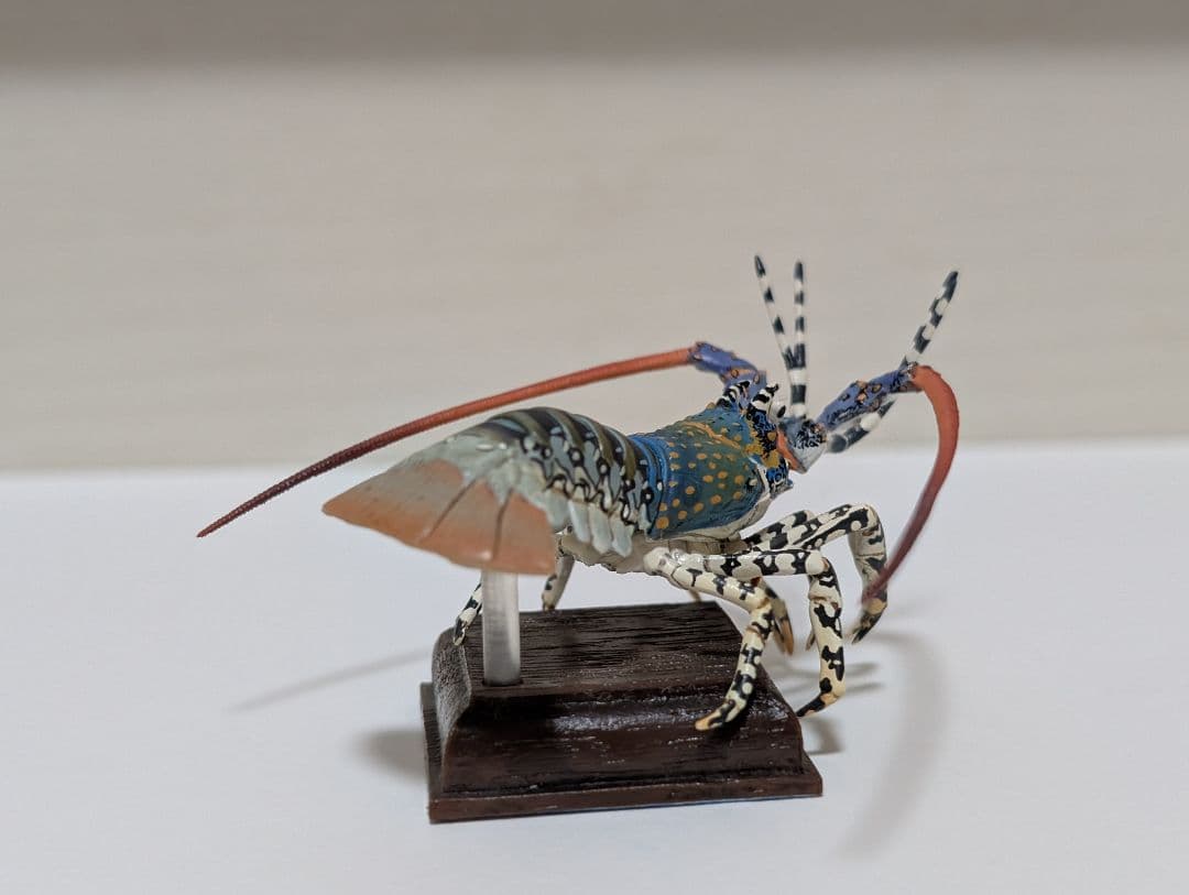 鳥羽水族館ガチャ ニシキエビ