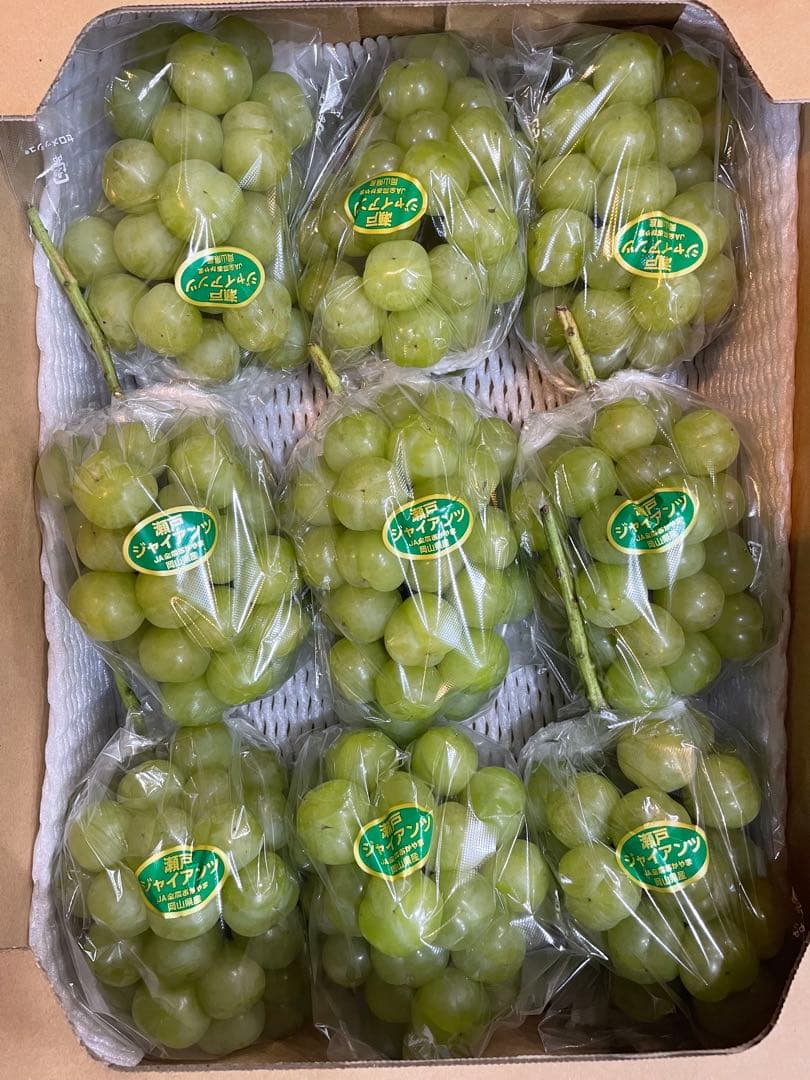 ⑩【岡山県産】瀬戸ジャイアンツ　7〜12房　約5キロ