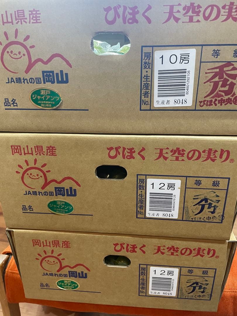 ⑩【岡山県産】瀬戸ジャイアンツ　7〜12房　約5キロ