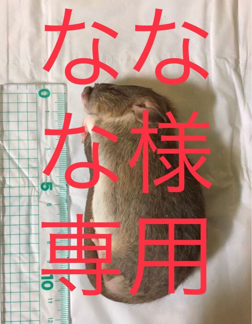 冷凍PS30 H20 ADM20 ADL40 S12