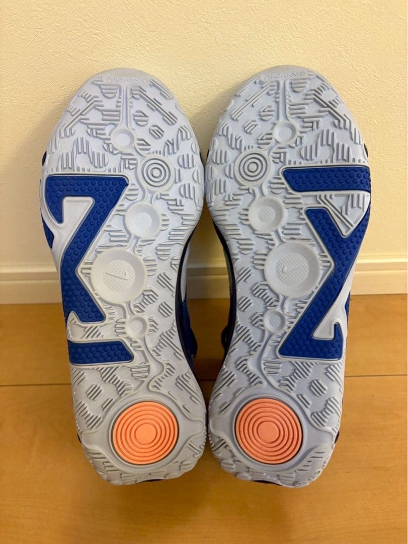 【お値下げ】ナイキ　PG6 ペイズリー　29cm