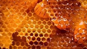 即購入OK☆　EM入り日本ミツバチ蜂蜜入り　無添加石鹸水　ミントの香り　24ｋｇ