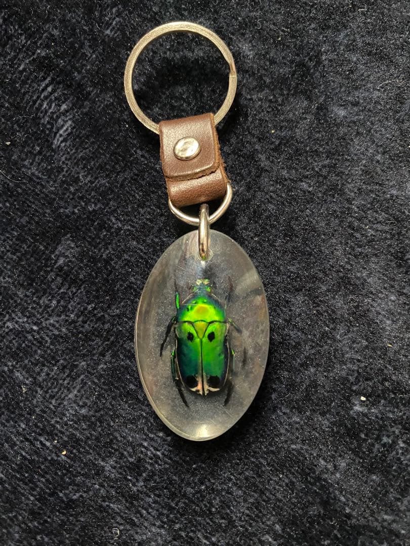 昆虫標本キーホルダー 緑色