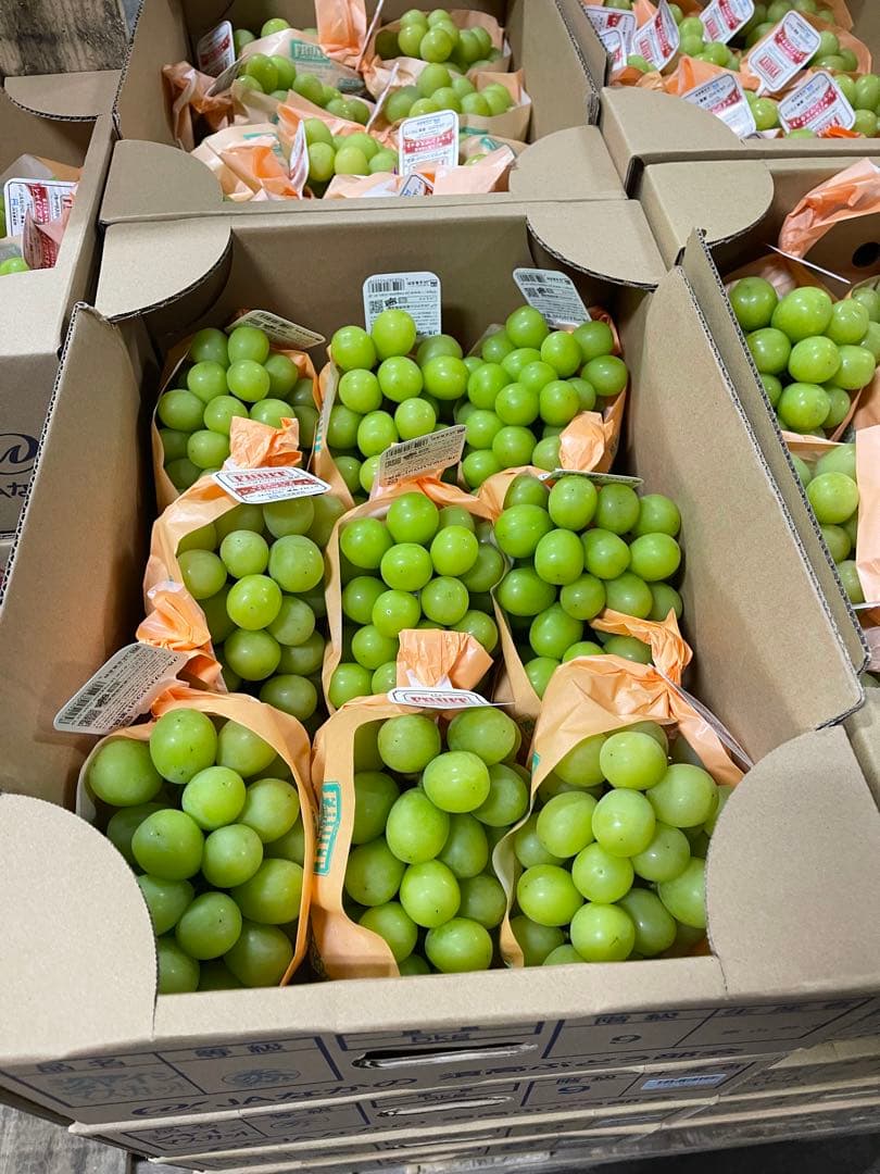 メルカリ限定　シャインマスカット5kg秀6〜11房　高級品質