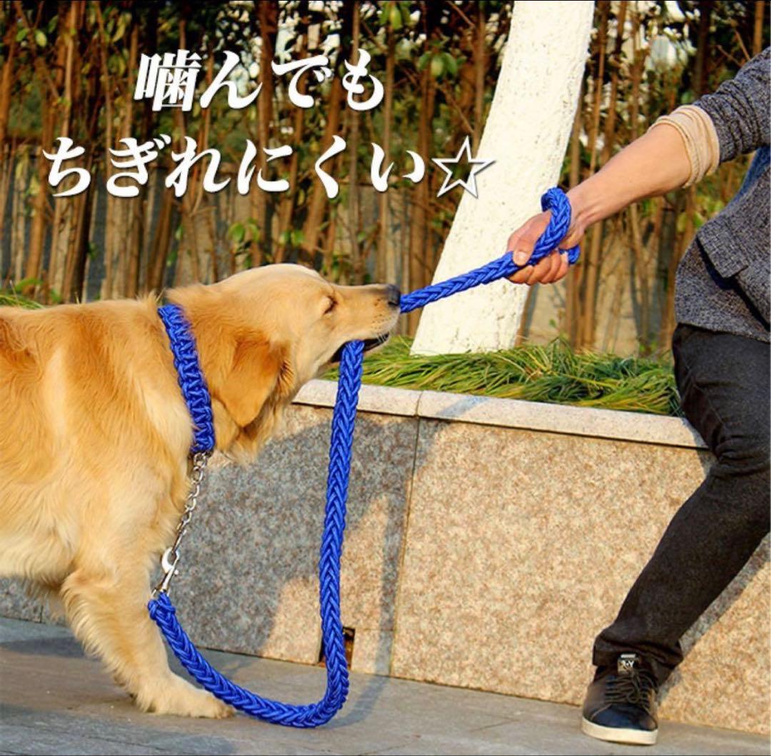 ハーフチョーク＆リードセット 首輪