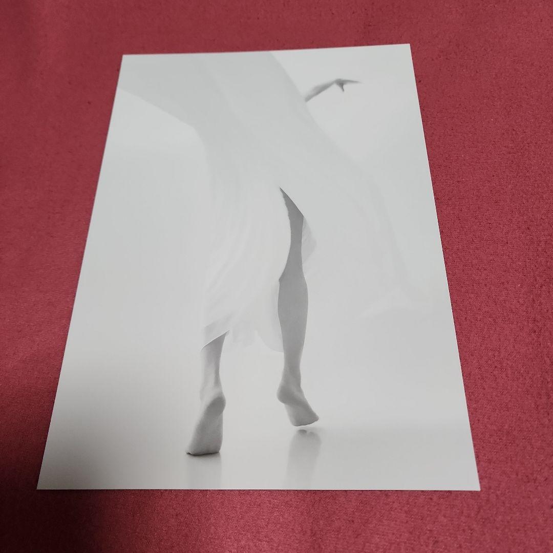 【SEIKO MATSUDA PH0TO】