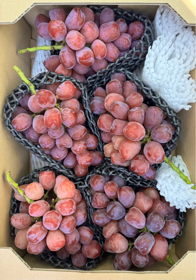 山梨県産ぶどう⭐️富士の輝⭐️5房入り 箱込み約4.7キロ