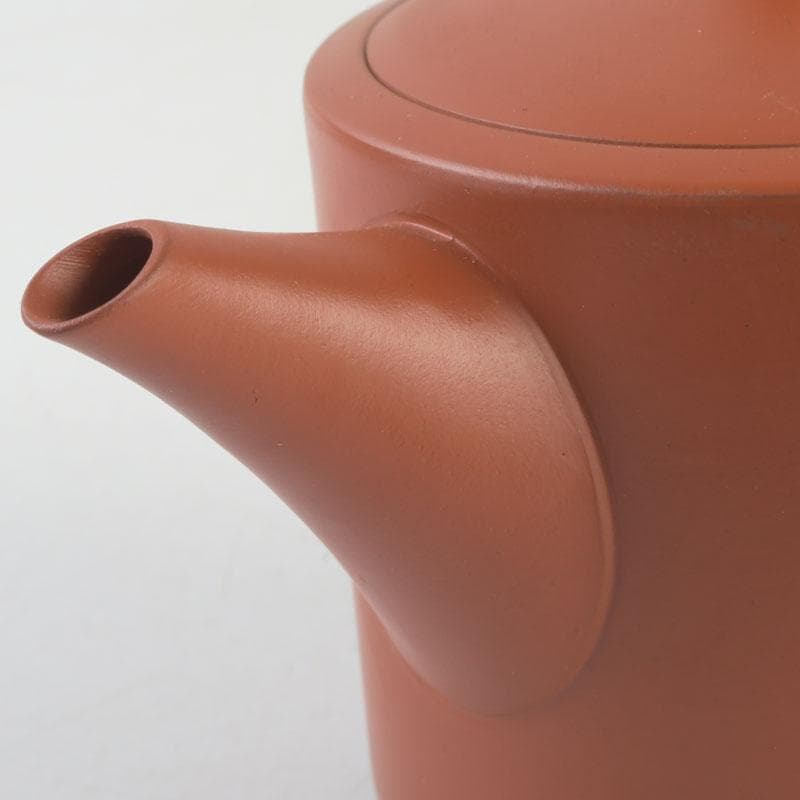 煎茶道具　常滑焼　朱泥　漢詩竹刻　横手急須　V　9580