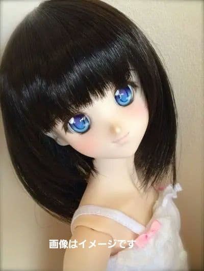 ドルフィードリームMirai スタンダード