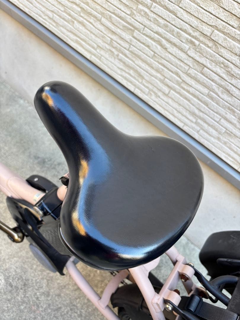 即購入不可【直接渡し限定】Panasonic ギュットアニーズDX 20インチ