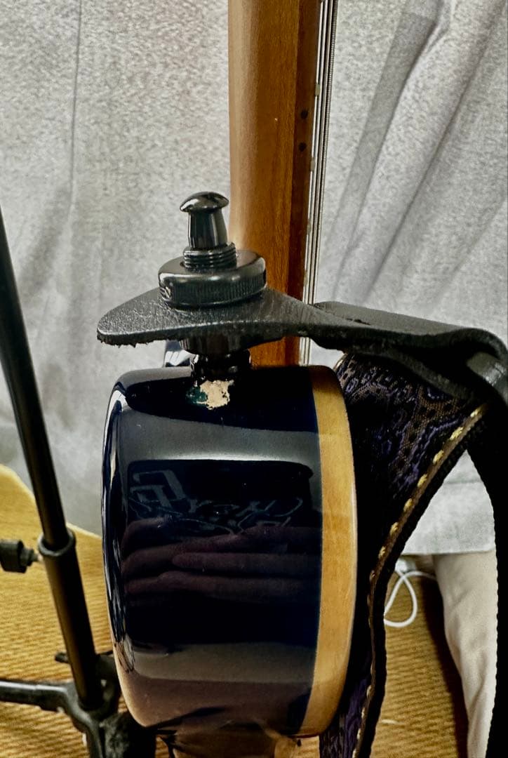 ギター EVH Wolfgang Standard Northern Lights