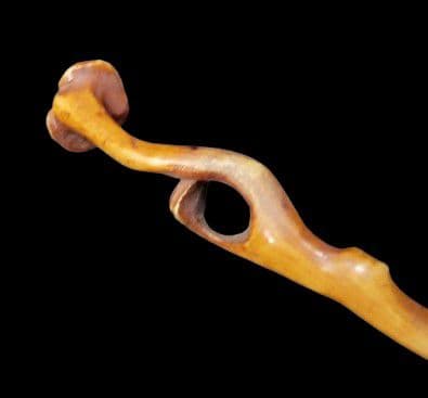 尾崎谷斎 在銘 笄 (こうがい)「霊芝」浅草彫 幕末 根付 名人