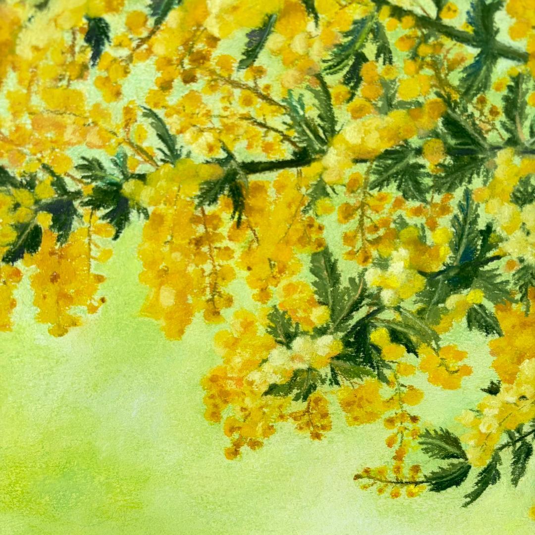 パステル画「ミモザ」（額付き）