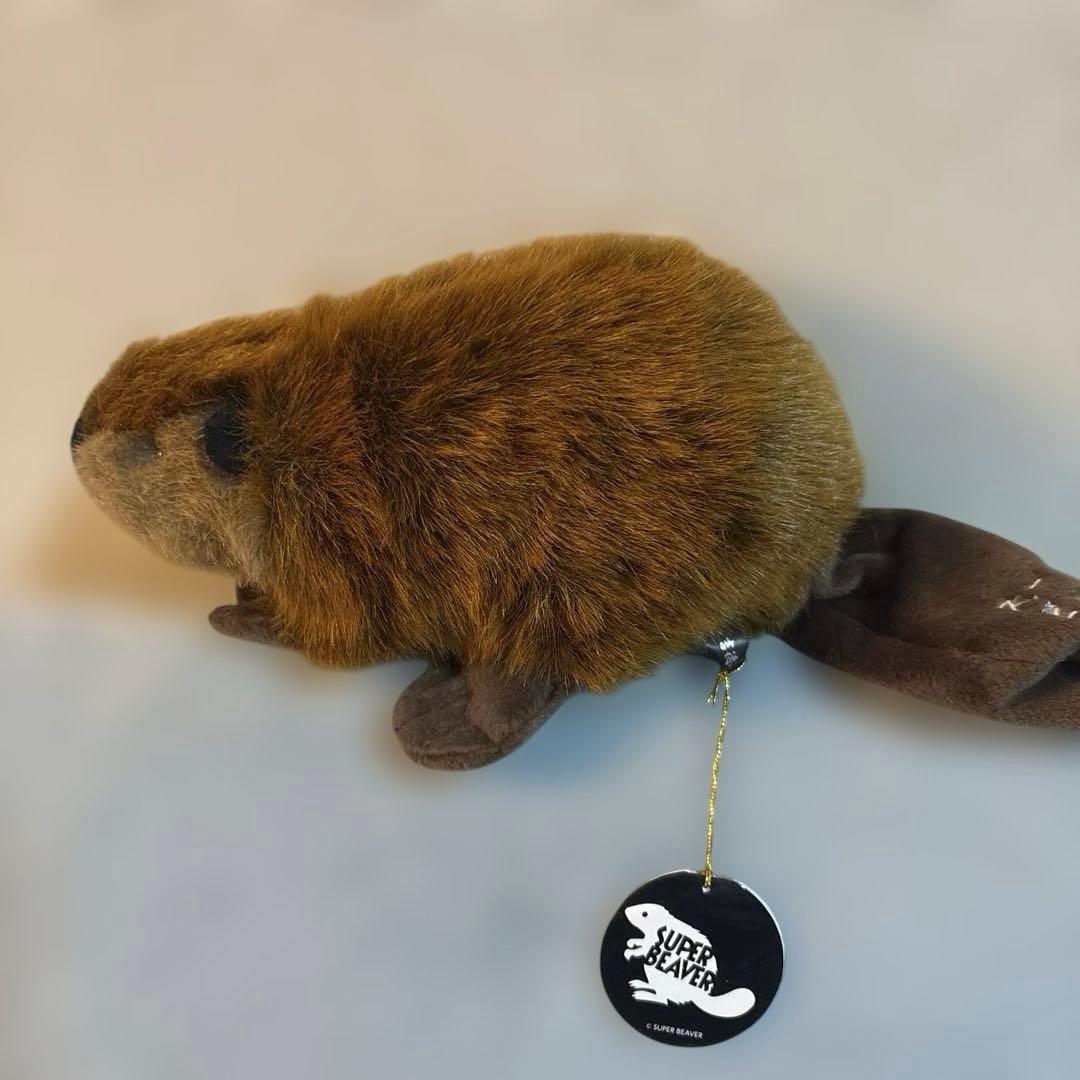 SUPER BEAVER スーパービーバーちゃん